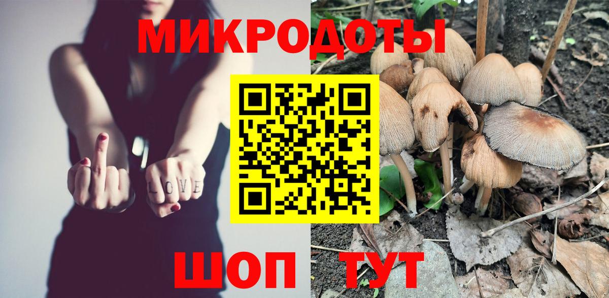 Псилоцибиновые грибы мицелий Бор